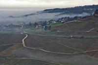 Cjp_2012_11_15_092630.jpg