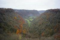 Cjp_2012_11_15_095610.jpg
