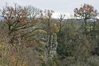 Cjp_2012_11_15_095814.jpg