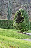 Cjp_2012_11_15_132716.jpg