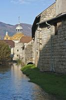 Cjp_2012_11_15_134026.jpg