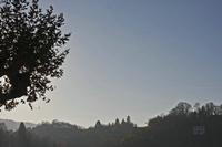 Cjp_2012_11_15_142532.jpg