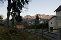 Cjp_2012_11_15_152954.jpg
