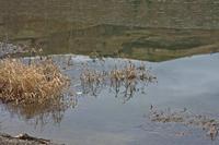 Cjp_2013_01_26_131716.jpg