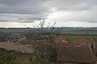Cjp_2013_01_27_123506.jpg