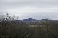 Cjp_2013_01_27_125454.jpg