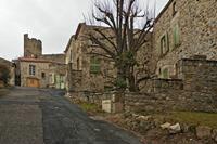 Cjp_2013_01_27_130540.jpg