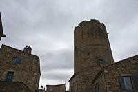 Cjp_2013_01_27_131012.jpg