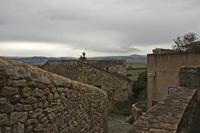 Cjp_2013_01_27_132018.jpg