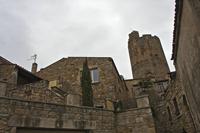 Cjp_2013_01_27_132102.jpg