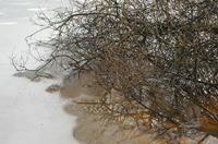 Cjp_2013_01_27_152820.jpg