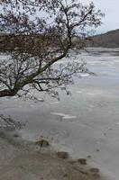 Cjp_2013_01_27_152924.jpg