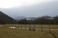 Cjp_2013_01_27_153214.jpg