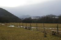 Cjp_2013_01_27_153220.jpg