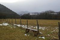 Cjp_2013_01_27_153242.jpg
