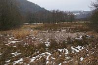 Cjp_2013_01_27_153614.jpg