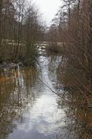 Cjp_2013_01_27_153846.jpg