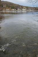 Cjp_2013_01_27_154008.jpg