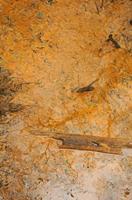 Cjp_2013_01_27_154138.jpg