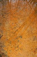 Cjp_2013_01_27_154146.jpg