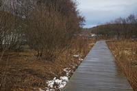 Cjp_2013_01_27_154324.jpg