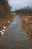Cjp_2013_01_27_154334.jpg