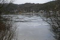 Cjp_2013_01_27_154628.jpg