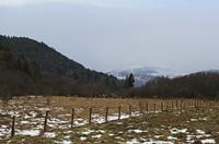 Cjp_2013_01_27_154834.jpg