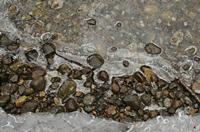 Cjp_2013_01_27_155248.jpg