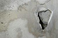 Cjp_2013_01_27_155310.jpg