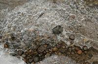 Cjp_2013_01_27_155358.jpg