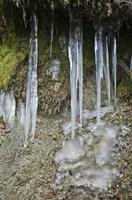 Cjp_2013_01_27_155832.jpg