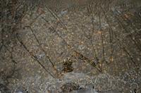 Cjp_2013_01_27_160252.jpg