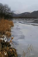 Cjp_2013_01_27_160514.jpg