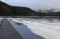 Cjp_2013_01_27_160944.jpg