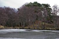 Cjp_2013_01_27_162008.jpg