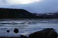 Cjp_2013_01_27_162320.jpg