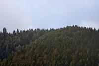 Cjp_2013_01_28_083120.jpg