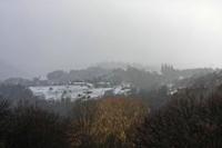 Cjp_2013_01_28_083134.jpg