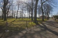 Cjp_2013_01_28_130248.jpg