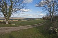 Cjp_2013_01_28_134016.jpg