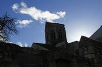 Cjp_2013_01_28_140806.jpg