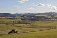 Cjp_2013_01_28_145340.jpg