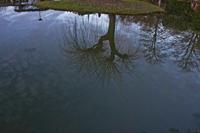 Cjp_2013_01_28_163912.jpg