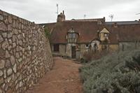 Cjp_2013_01_29_075926.jpg