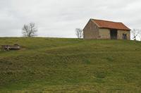 Cjp_2013_01_29_084026.jpg
