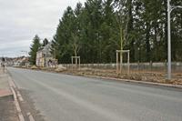 Cjp_2013_01_29_092416.jpg