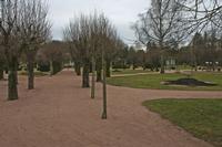 Cjp_2013_01_29_094244.jpg