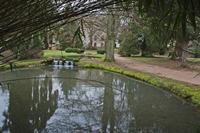 Cjp_2013_01_29_094806.jpg