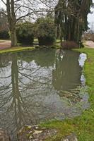 Cjp_2013_01_29_094912.jpg
